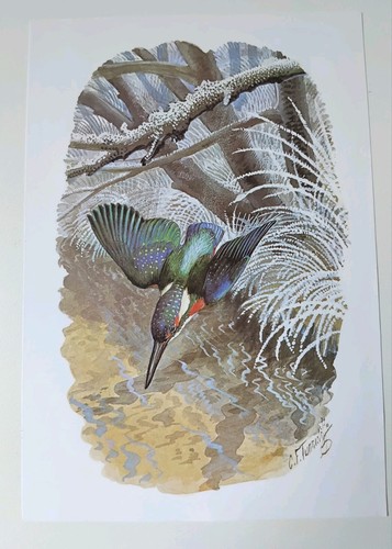 Vintage tunnicliffe - vintage, c.f.tunnicliffe