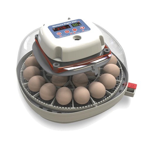 360 degree view egg - 360-degree, incubator