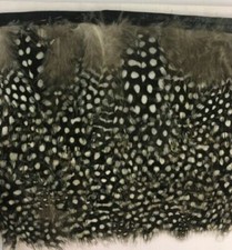 Gordon Griffiths Super Selected Guinea Fowl Feathers Approx 100 (GFF)