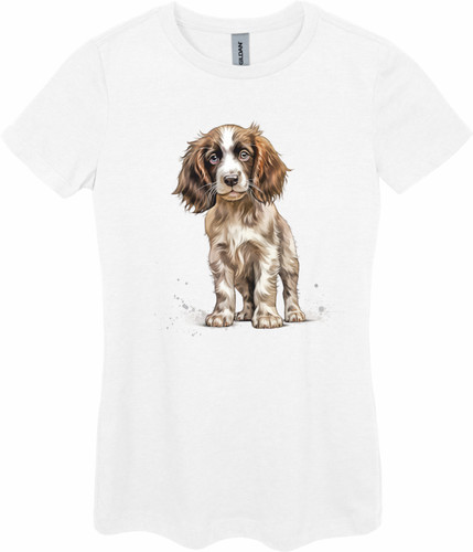 Different english springer - english,