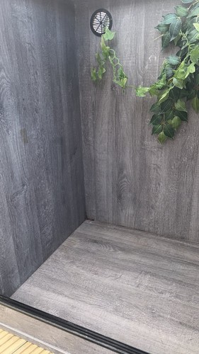 Chameleon vivarium setup - vivarium,