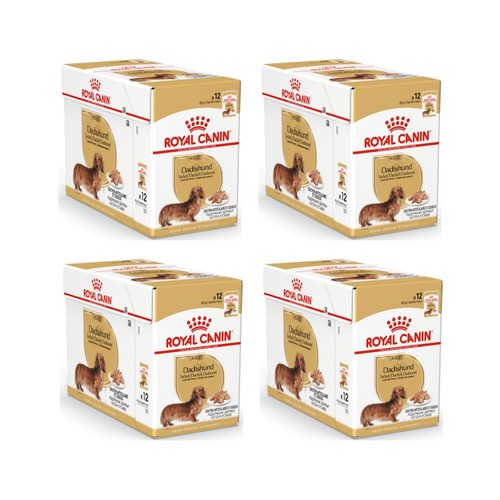 Royal canin dachshund complete - royal,