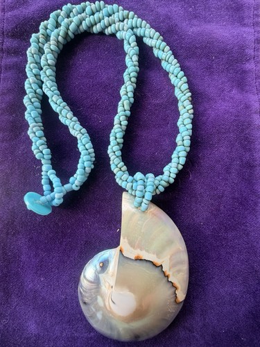 Nautilus shell necklace - shell,