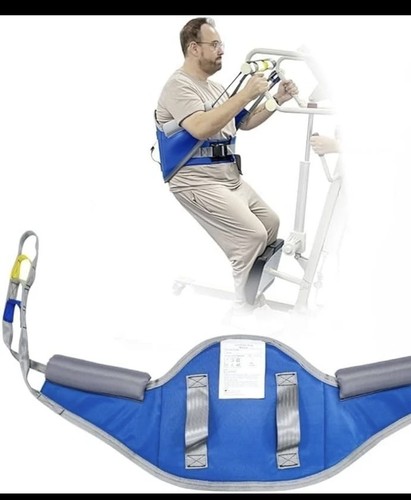 Assistive standing hoist - ez,