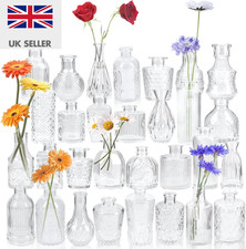 Glass Bud Vase Set of 30,Small
