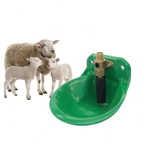 Automatic water bowl drinker - bowl,