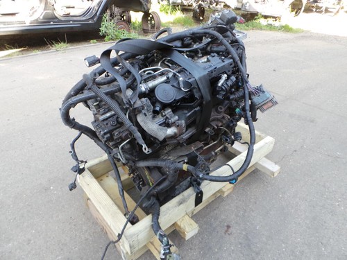 Range rover evoque - rover, engine