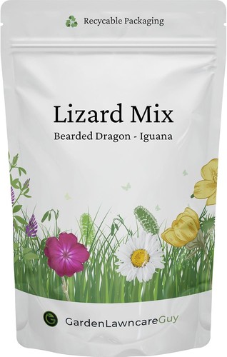 Lizard forage mix seeds - lizard,