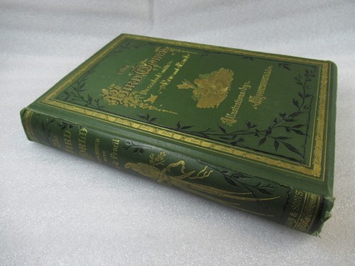 1880 the bird world described - 1880,