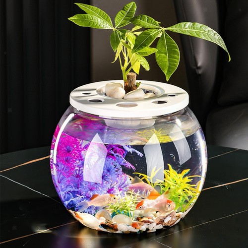 Fish bowl versatile - fish, creative