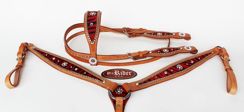 Horse show bridle western - horse,