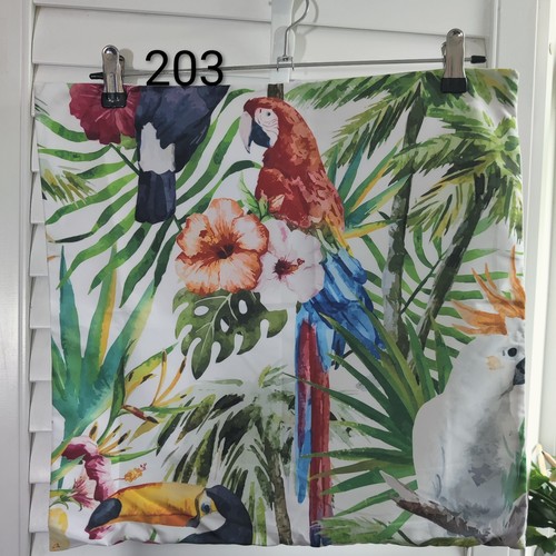 Parrots tropical setting - in,