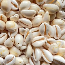 50x Lot Small Bulk Cut Sea