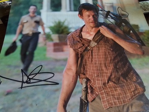 The walking dead - the,