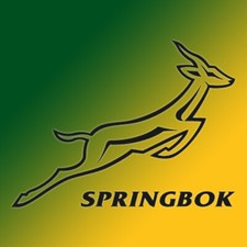 South Africa Springbok Vinyl