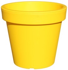 Planters pride aura - pride,
