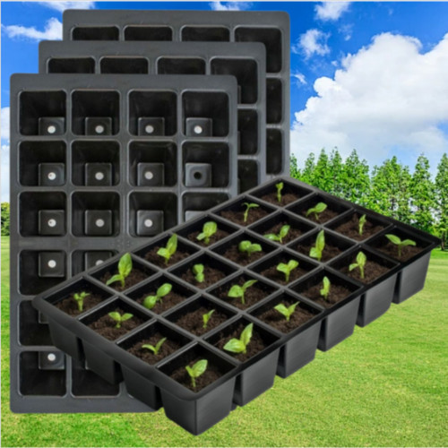 Seed trays multi - 24, cell