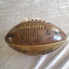 Wilson nfl gold panel - wilson,