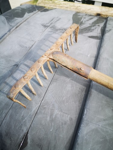 Vintage rake head - vintage, tool