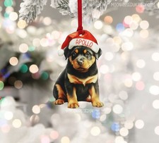 Personalised Rottweiler