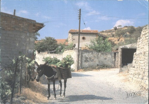 Vouni village cyprus donkey - vouni,