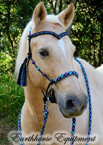 Earthhorse equipment bitless - earthhorse, equipment,