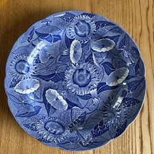 Beautiful Spode Blue Room
