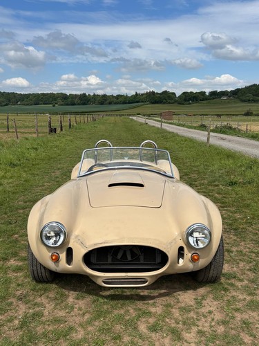 Cobra kit car - cobra,