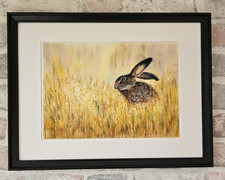 Hare Original Watercolour