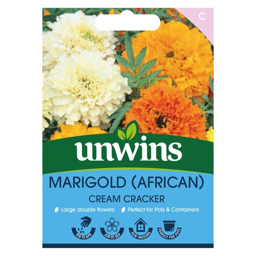 Marigold cream - (african),