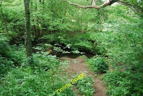 Photo 6x4 river grom ramslye - 6x4,