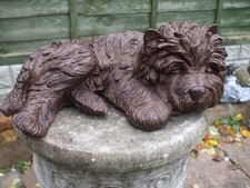 LAYING CAIRN TERRIER DOGS DOG