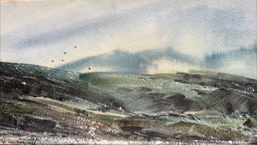 Chrimes bogland near - chrimes,