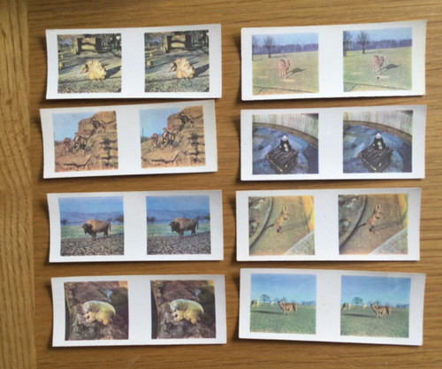 Weetabix animal cards - weetabix, 3d