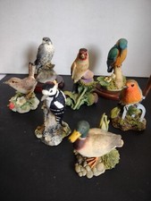 JOB LOT OF 7 BORDER FINE ARTS BIRDS