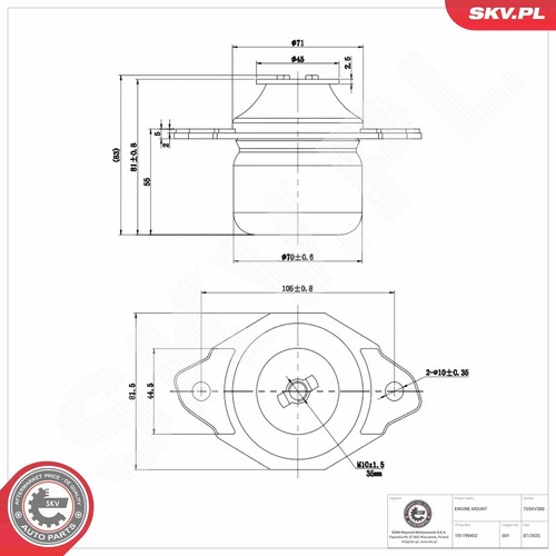 Rear left engine mounting - engine, skv