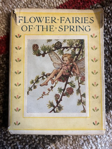 Set flower fairies - 5, books