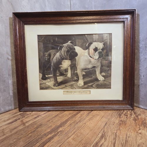 Antique english bulldog - antique,