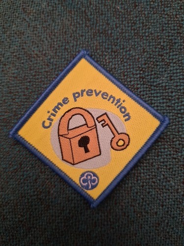 Brownie interest badge - brownie,