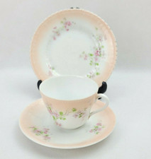 Antique Victoria Austria Bone