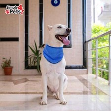 Large Dog Cooling Bandana Pet
