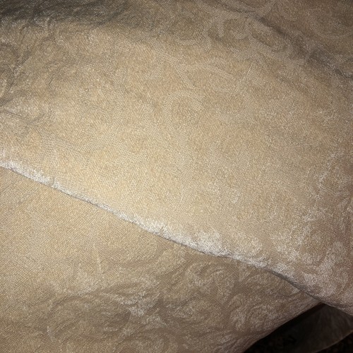 Plush beige demask chenille - plush,