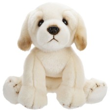 Golden labrador soft - toy, dog