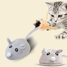 Interactive Mouse Moving Cat