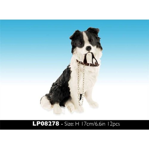 Walkies border collie sitting - walkies,