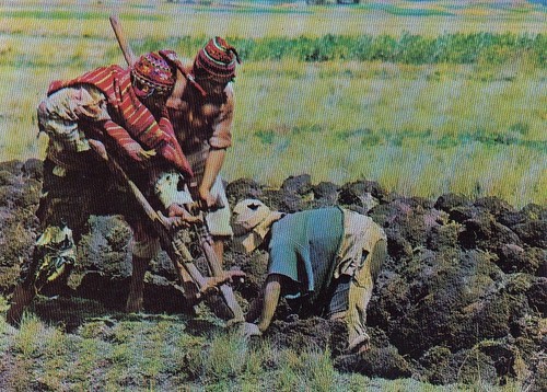 Perú chaquitacjlla peasants - perú,