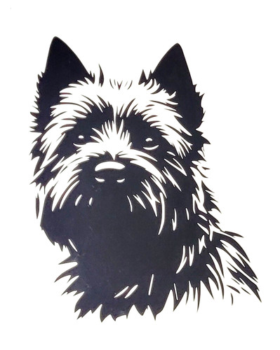 Cairn terrier dog - 1x,