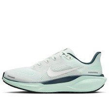 Nike Air Zoom Pegasus 41