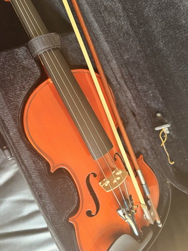 Acoustic violin 4 - acoustic,