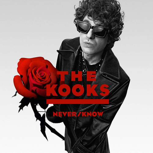 The kooks never - |, cd